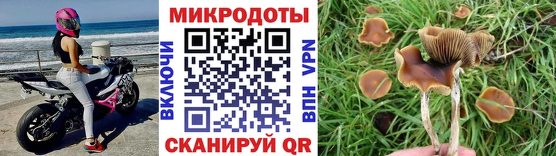 Псилоцибиновые грибы прущие грибы  Нурлат 